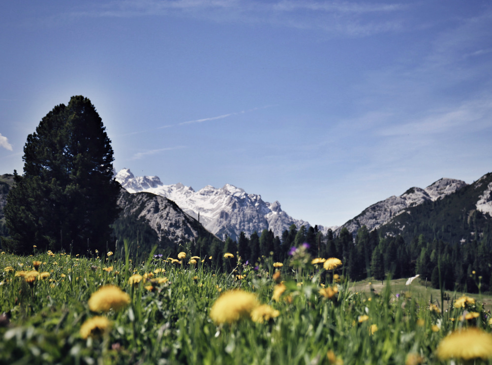 Wandertipps Sextner Dolomiten, Wanderguide Sextner Dolomiten, schöne Wanderrouten in den Sextner Dolomiten, Drei Zinnen Wanderung, Sextner Dolomiten Wanderungen, Lifestyle Blog, Like A Riot