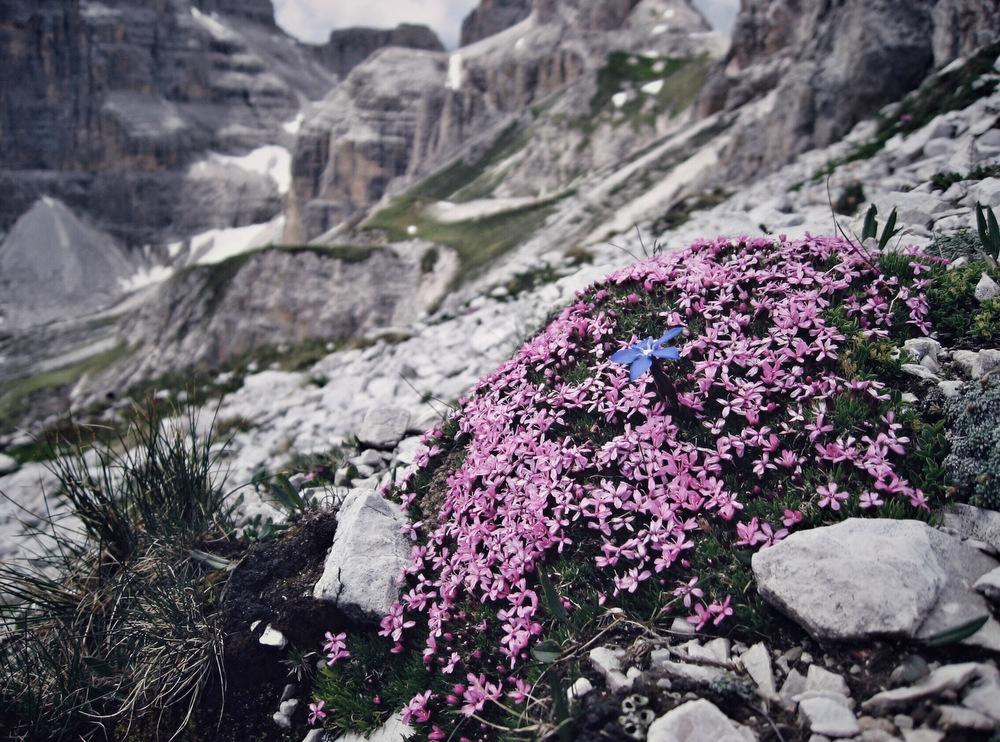 Wandertipps Sextner Dolomiten, Wanderguide Sextner Dolomiten, schöne Wanderrouten in den Sextner Dolomiten, Drei Zinnen Wanderung, Sextner Dolomiten Wanderungen, Lifestyle Blog, Like A Riot