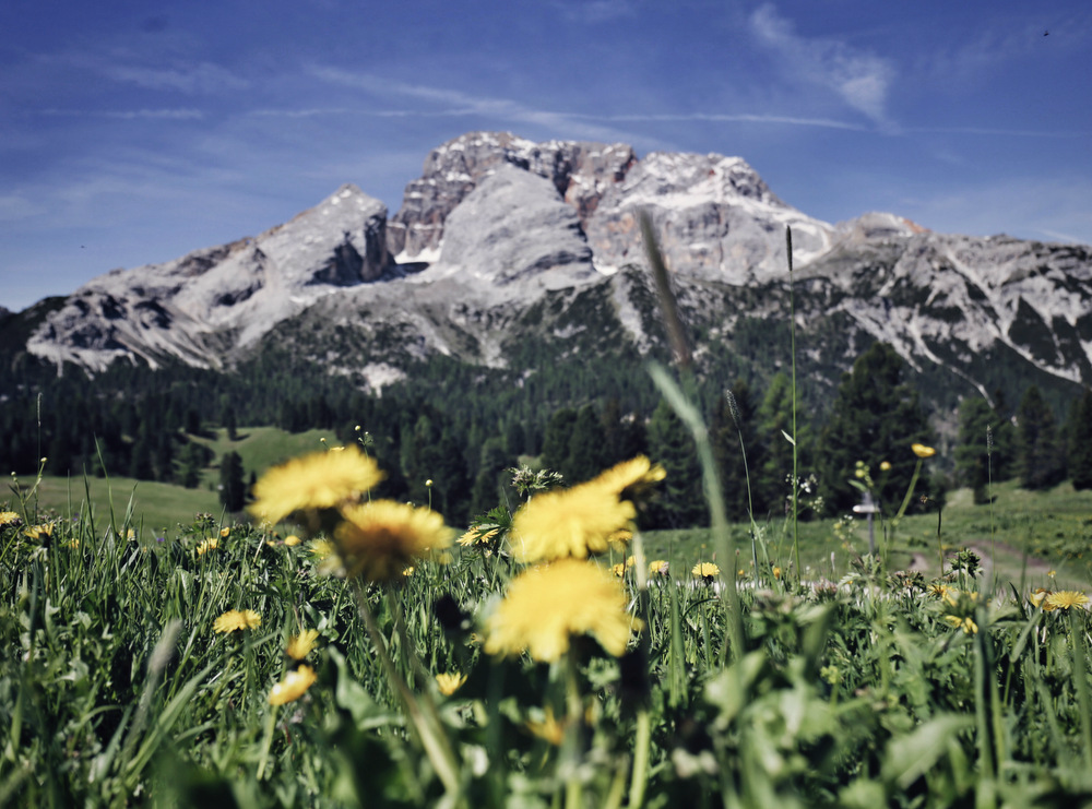 Wandertipps Sextner Dolomiten, Wanderguide Sextner Dolomiten, schöne Wanderrouten in den Sextner Dolomiten, Drei Zinnen Wanderung, Sextner Dolomiten Wanderungen, Lifestyle Blog, Like A Riot